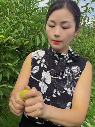最近每天都是待在果园里面,亲自采摘李子#李子熟了 #采摘李子