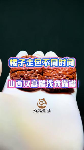 楼子不同时间走色山西汉高楼太行野楼#文玩核桃#山西汉高楼#四座楼狮子头#文玩核桃山地果#高品质文玩核桃