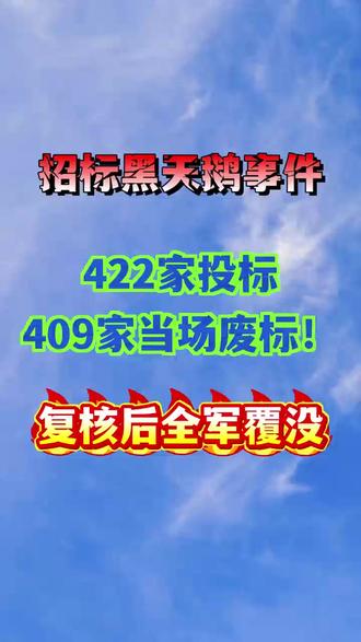 400多家投标人团灭 #标书代写
