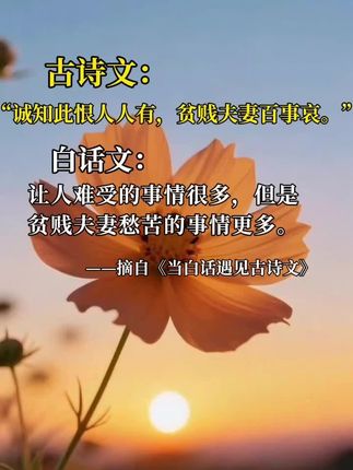 诚知此恨人人有,贫贱夫妻百事哀。让人难受的事情很多,但是贫贱夫妻愁苦的事情更多。#知识分享 #诗词 #涨知识 #诗词
