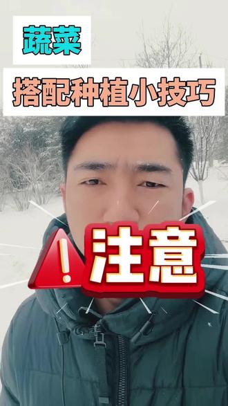 持续分享种菜小技巧#助力三农 #种菜口诀 #种菜技巧 #种植的乐趣 #健康蔬菜种植