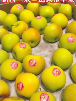 #创作灵感 这个新西兰进口的米兰达黄金苹果!圆润饱满!汁水丰富!果肉细腻!又脆又甜!没吃过的一定要尝尝!#新西兰进口苹果#超好吃#营养丰富