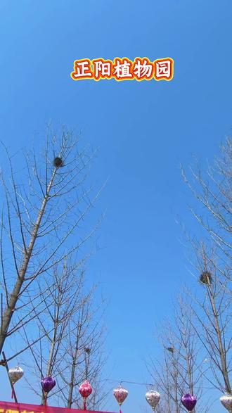 闹新春过大年,就来植物园,快来快来#萌宠乐园 #植物园闹新春 #萌宠 #过年氛围提前搞起来了 #春节