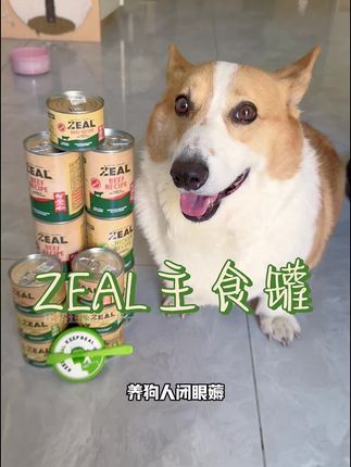 养狗人来薅ZEAL主食罐,限量送周边盖勺#新手养狗 #铲屎官的乐趣 #柯基