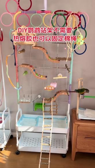 手把手教你做鹦鹉攀爬站架, 不需要热熔胶怎么固定麻绳,在视频的后面,鹦鹉游乐场材料包:1移动双层落地衣架高162长60、2圈内径12厘米10个,3麻绳70米每种颜色10米、4网格60*40厘米横条2斤无角二块,5买一些扎带。#鹦鹉#小太阳鹦鹉#鹦鹉攀爬架#diy鹦鹉站架#鹦鹉站架