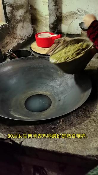 80后女生用实践证明:熟食喂养鸡鸭好处多,来看看都有哪些好处?#农村养殖