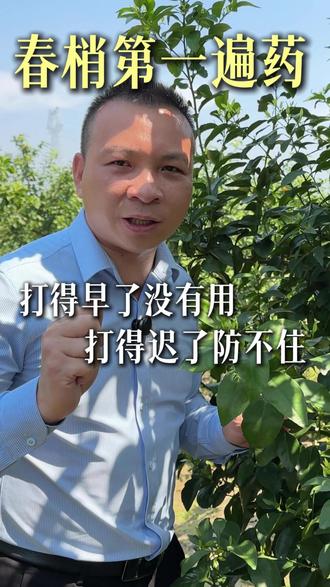 春梢第一遍药该什么时候打#柑橘种植 #