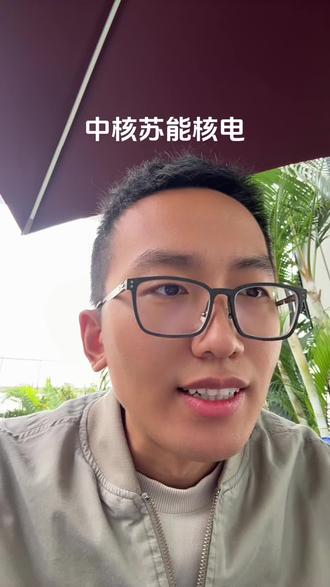 中核苏能核电,连云港有29百分之的股份