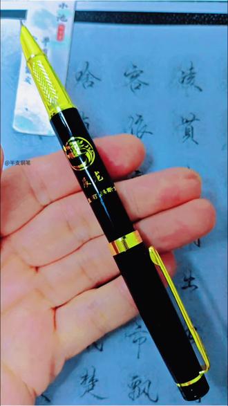 扬子鳄新款十二生肖美工钢笔
#钢笔 #美工笔 #文具安利 #好笔推荐 #手写