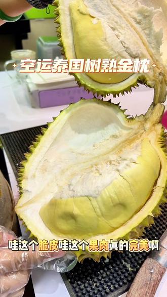 祝大家元旦快乐,今天还是泰国的空运树熟金枕榴莲#果姑娘榴莲 #元旦快乐 #茂名同城 #金枕榴莲