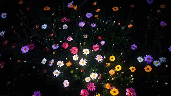 我始终觉得 高需求就应该遇见高需求
高需求与低需求在一起 简直是一种彼此的消磨
我渴望亲密关系里填满分享 关注与在场 哪怕是忙碌之中 也要抽出缝隙留给对方 我喜欢时刻感知彼此的情绪与状态 用细腻的温度去包裹这段感情
可当我如此热烈地去爱 却没有收到对等的回应时 就会止不住地焦虑
我会忍不住怀疑 是我要得太多吗 是我错了吗 难道我也该学着淡一点冷一点 才符合健康关系的模样吗
但每次这样想 我又觉得委屈 我给你的爱这么热烈这么认真 我没有图过你给我什么东西 我没有要你的钱吧…反而我会再贴点 我也没有用这个来挟恩图报吧 我只是希望 我的认真能被同样认真地接住
或许我真正该做的是自己一个人吧 所有人都无法忍受我 相同的回应我