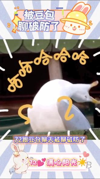 豆包都知道是因为72块钱的拖鞋 哈哈哈哈哈哈哈哈 #主持人72 #豆包 #聊天 #破防就在一瞬间 #哈哈哈哈哈哈我要笑死了