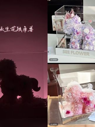 爱,无需多言!送她永生花独角兽的专属浪漫 #永生花 #送女友礼物#心动礼物  #用心准备的礼物才是惊喜 #仪式感很重要