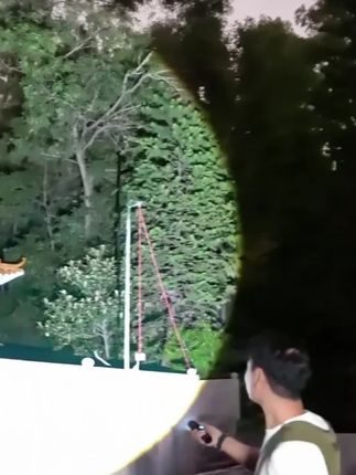 #户外爱好者必备神器#户外照明灯款式推荐#强光手电筒