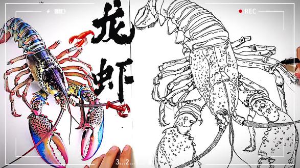 画龙虾可不仅是涂色,
线描才是练观察力的“硬功夫”🦞
一个钳子、几根触须,
每一笔都是孩子专注力的积累。
没有颜色干扰,
线条自己就会讲故事。
#线描 #观察力培养 #少儿美育#画虾 #创意儿童美术