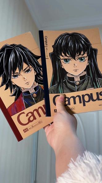 天气好冷,冷的我得了最近很火的那个什么...冷脸萌#鬼灭之刃 #富冈义勇 #时透无一郎 #抽象 #临摹