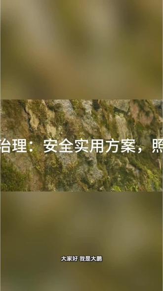 蝌蚪养殖青苔全套治理方案,安全不伤苗,从根源防控不反弹!#蟾蜍养殖 #青苔防控 #科学养殖 #原创视频