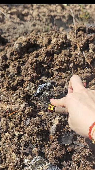 有外甥小孩哥一起玩儿真有意思~
#放鞭炮 #放鞭炮的女人 #炸牛粪的快乐 #过年放炮的乐趣 #放烟花