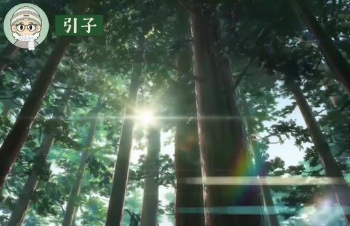 「1st-01|森林竟也能“听懂”人类的语言?自然界独特的“交流方式”」自然奇闻#拒绝废话#科普#冷知识#省流 #灵异#奇闻#自然#物理
