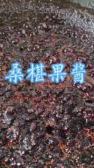 #自制熬制 桑椹果酱#野味#2026新农人,乡村振兴抖音助农