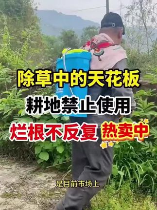 #甲嘧磺隆 #农技推广 #农业种植 #除草剂 #强力除草剂