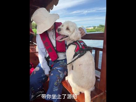 永别了 李旺财
#宠物投毒 #狗 #狗是人类最忠诚的朋友请善待它