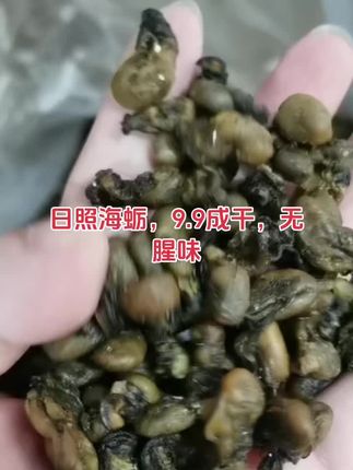日照海蛎,9.9成干,无腥味#大自然的馈赠 #海蛎子 #海蛎 #海蛎干