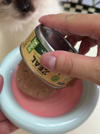 9.9到手zeal高端鲜肉主食罐,适口性好,猫咪嘎嘎爱吃!#zeal猫罐头 #主食罐 #新手养猫