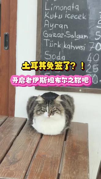 土耳其免签啦,要不要和我这个老坦儿一起去一趟~#土耳其免签 #土耳其旅游 #伊斯坦布尔 #土耳其美食 #外国人在中国