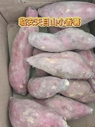#口感特别好 #软糯香甜 #超好吃 软糯香甜,太好吃了吧