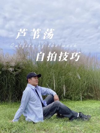 秋天芦苇这样拍,学会这三种拍摄技巧,一种比一种好看,朋友看了都夸你拍的好#手机摄影教学 #芦苇拍摄技巧