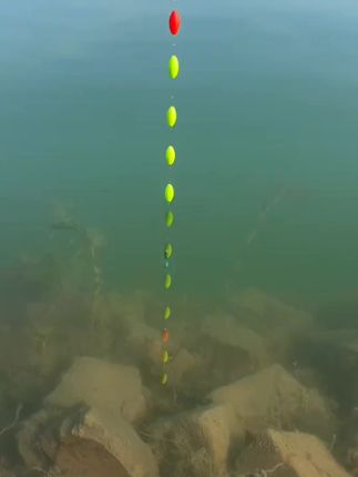 #钓鱼大哥悬着的心终于掉了 不用剪铅不用调漂,自带双钩子线和配重,到手直接挂上饵料即可钓鱼#七星漂 #传统钓 #七星漂线组 #七星漂传统钓