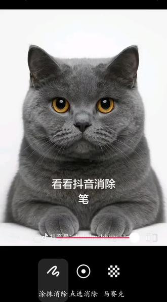 ?抖音消除笔阴成啥了#抖音消除笔 #猎奇