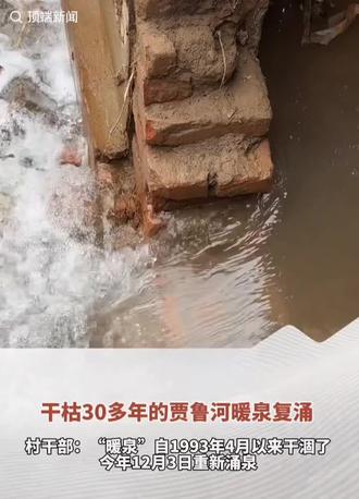太神奇了,干枯30年的贾鲁河暖泉复涌!#新闻 #抖音二创激励计划 #贾鲁河