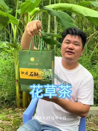 一款地地道道的龙门金线莲花草茶#好物分享 #花草茶