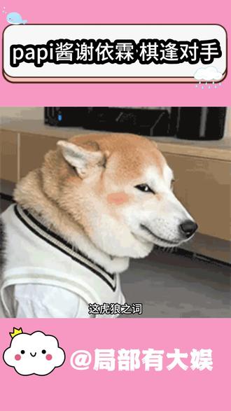 你俩敢说 我都不敢听啊!#万万没想到 #炸裂 #papi酱 #谢依霖 #娱乐评论大赏