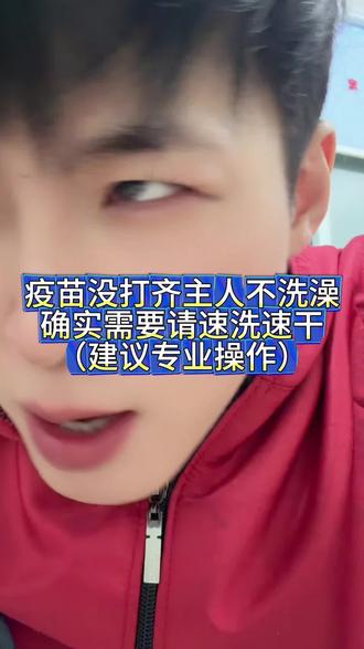 非必要必须情况下,不建议疫苗注射不完全狗狗自行在家洗澡#幼犬洗澡 #合肥买狗 #合肥买狗推荐 #萨摩耶 #萨摩耶幼犬