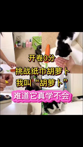 #创作者中心 #创作灵感
第18集 挑战纸巾胡萝卜
开卷0分,难道真的学不会
再教我都快成“胡萝卜了”
#纸巾胡萝卜 #猫咪日常vlog #真棒 @超级无敌大开门