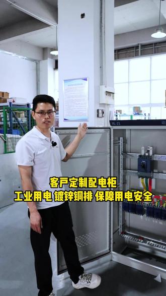 客户定制配电柜,工业用电,镀锌铜排,保障用电安全 #配电柜哪家好 #配电柜价格 #配电柜批发 #配电柜厂家 #配电柜厂家供货