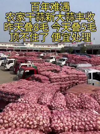 #大蒜#紫皮大蒜 #干大蒜 #超便宜超划算 #我的乡村生活