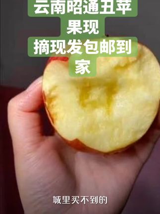 #云南昭通丑苹果 。好吃不贵,走过路过,不要错过这款苹果,吃了还想吃,新鲜水果包邮到家