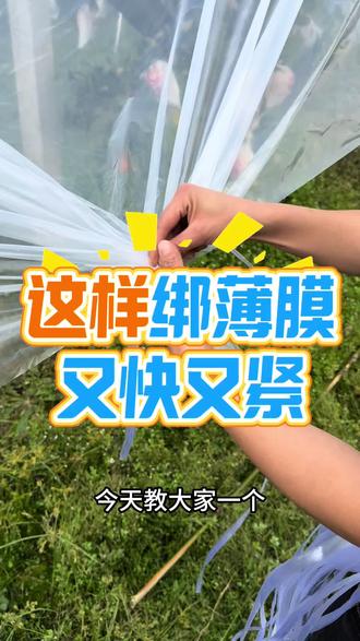 #农业科普 #盖膜 #柑橘种植 这样绑薄膜,又快又好