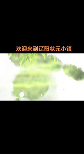 欢迎高考学子来辽阳状元小镇华岩寺村祈福!
