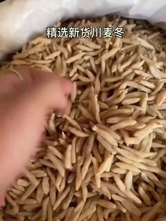 正品川麦冬四川绵阳特产麦冬枣泡水煲汤麦冬