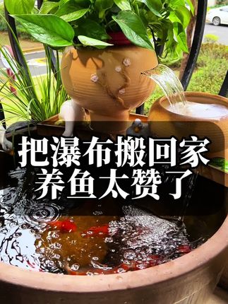这套陶瓷瀑布过滤装置好看好用,放阳台庭院氛围感拉满#鱼缸过滤 #生态鱼缸 #养鱼 #庭院养鱼