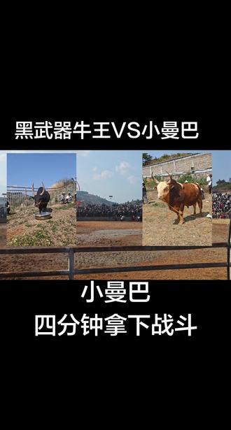 小曼巴真是聪明,压着打