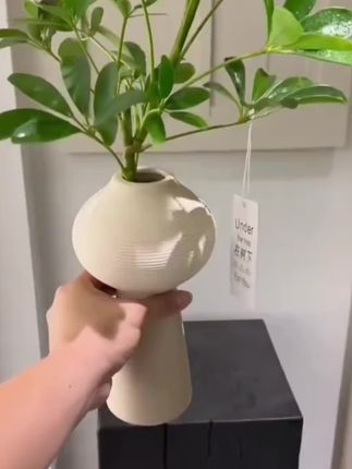 #家庭养花 #生活的美无处不在 #花卉绿植养花 #水培鸭脚木 #无限回购的宝藏单品
