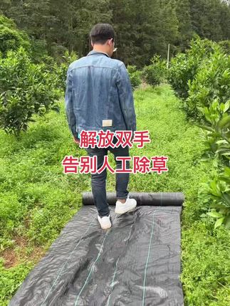 解放双手,告别人工除草!一次铺设,多年不用再除草#三农 #农业种植 #除草