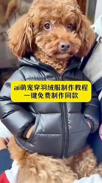 ai宠物穿羽绒服制作教程来了!#即梦ai #宠物穿羽绒服 #宠物穿衣服 #小狗羽绒服#a萌宠一键穿羽绒服 狗狗冬季羽绒服 ai宠物穿羽绒服 ai宠物穿衣服教程 ai宠物穿服装视频
宠物羽绒服ai 宠物穿搭ai ai宠物服装 雪地羽绒服ai宠物 ai宠物穿衣服写真 ai宠物穿童装的衣服视频怎么做 宠物羽绒服ai特效 鹦鹉羽绒服ai 宠物羽绒服 Al款 宠物羽绒服ai 宠物羽绒服ai描述 宠物羽绒服 宠物羽绒服 AI可爱 宠物羽绒服 Al冬季 雪地羽绒服ai宠物 宠物羽绒服 Al一键穿同款 宠物ai特效视频教程 宠物ai特效冰激凌教程 宠物羽绒服ai特效 宠物ai雪地特效拍同款 宠物ai特效拍同款 宠物雪地ai特效 宠物ai雪地特效制作 宠物羽绒服保暖自制 宠物ai特效冬季 宠物ai变身特效 宠物ai雪地特效拍同款 宠物羽绒服 宠物穿羽绒服ai特效 宠物羽绒服ai 宠物羽绒服ai特效 宠雪地ai特效 宠物雪地围巾 ai特效 宠物冬日雪景ai特效 雪地羽绒服ai宠物 宠物ai特效豆包 Al萌宠一键穿羽绒服特效教程 AI萌宠一键穿羽绒服 ai萌宠穿羽绒服 宠物狗保暖外套 宠物ai特效在线 宠物ai特效拍同款 闪金速写风ai特效教程 动物版自己特效教程 宠物戴工牌ai特效