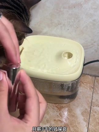 再也不用担心#猫咪 喝到洗脚水了#宠物用品 #科学养宠攻略 #猫咪饮水机 #萌宠好物